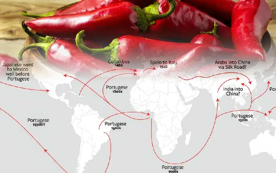 historia das malaguetas chilis